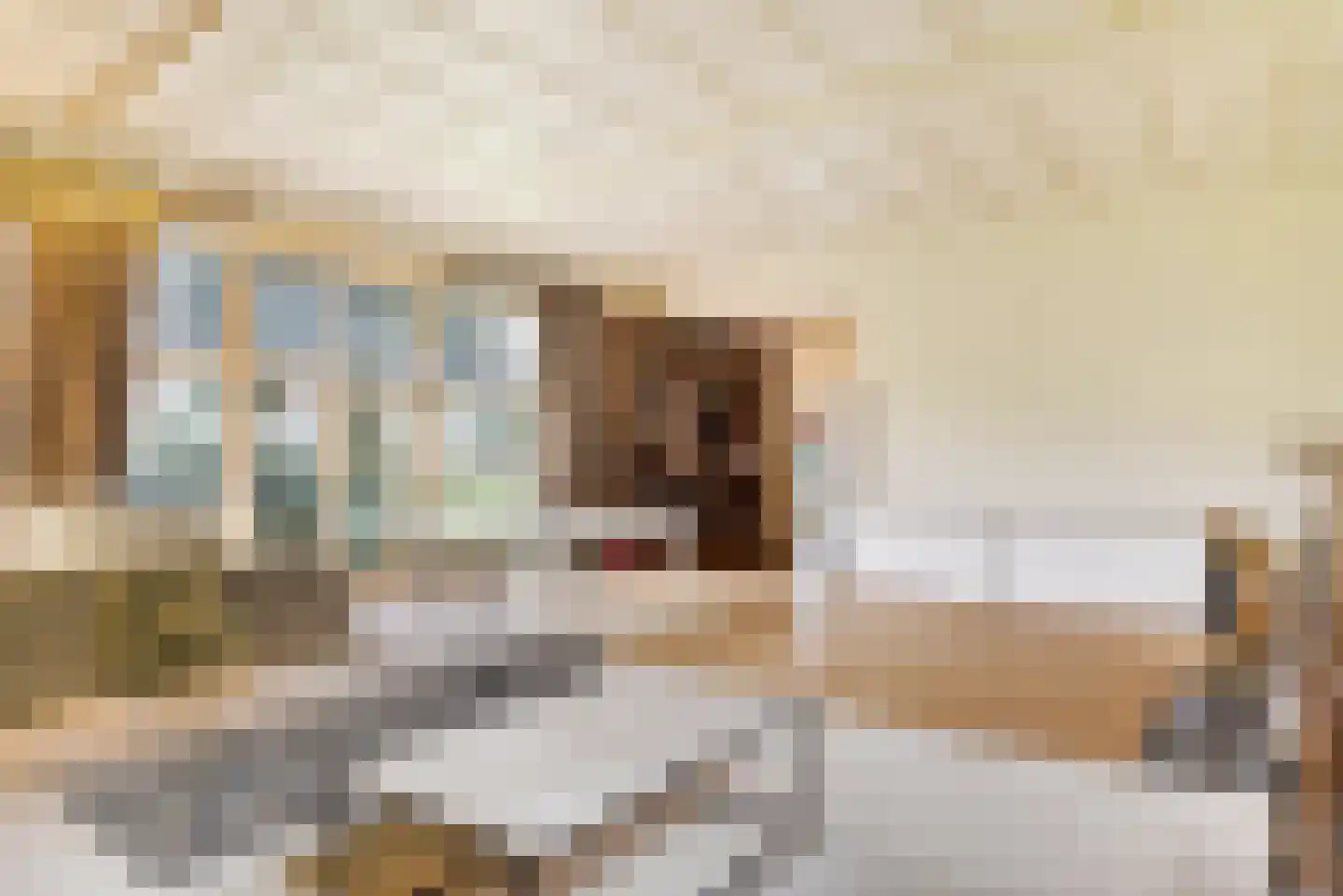 Paauwlaan 7 Wassenaar thumbnail 15