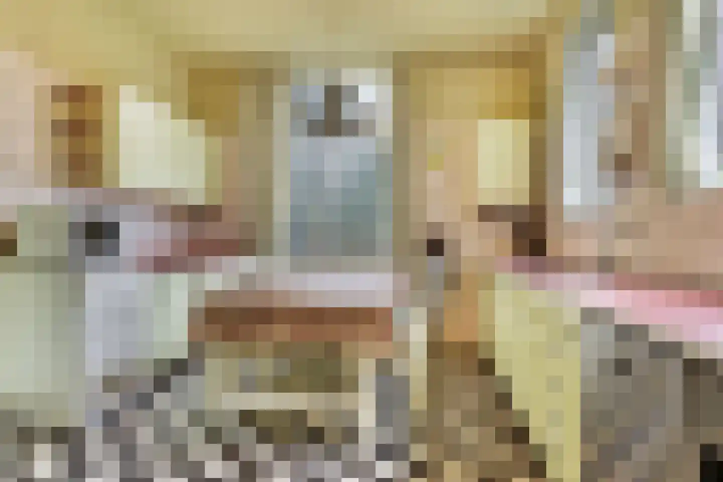 Paauwlaan 7 Wassenaar thumbnail 16