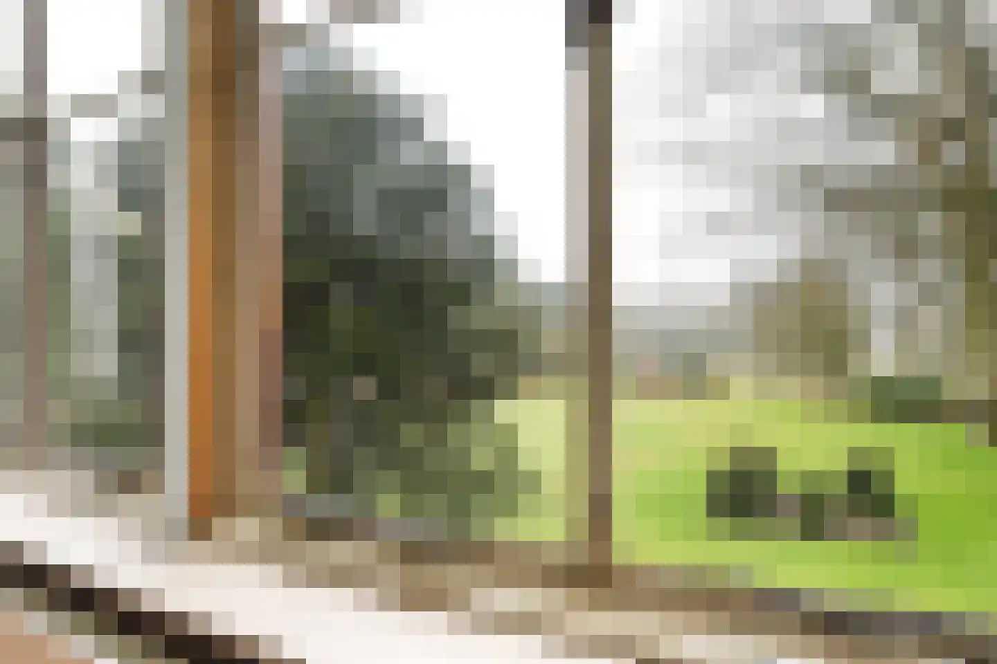 Paauwlaan 7 Wassenaar thumbnail 24