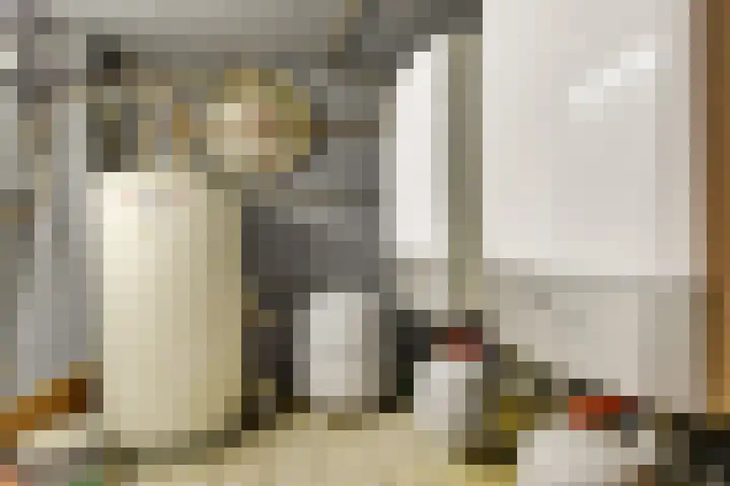 Paauwlaan 7 Wassenaar thumbnail 29