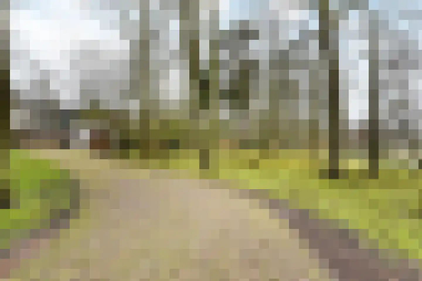 Paauwlaan 7 Wassenaar thumbnail 33