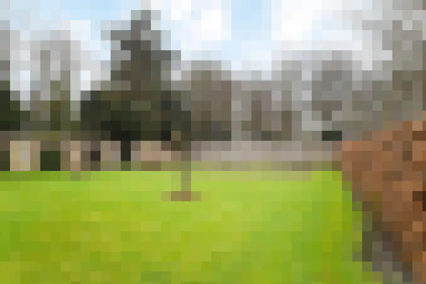 Paauwlaan 7 Wassenaar thumbnail 37