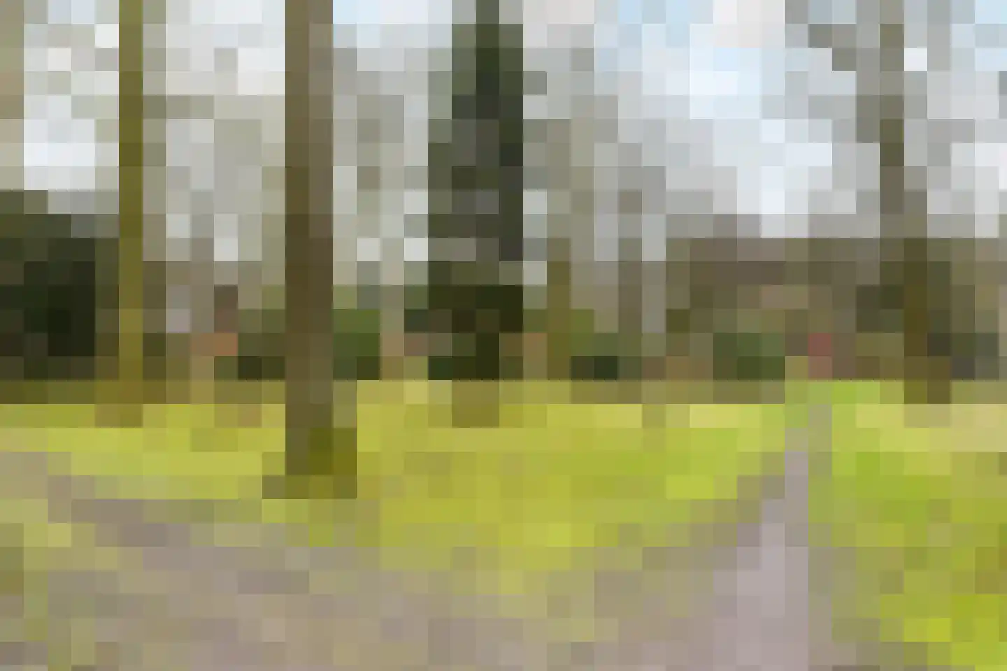 Paauwlaan 7 Wassenaar thumbnail 40