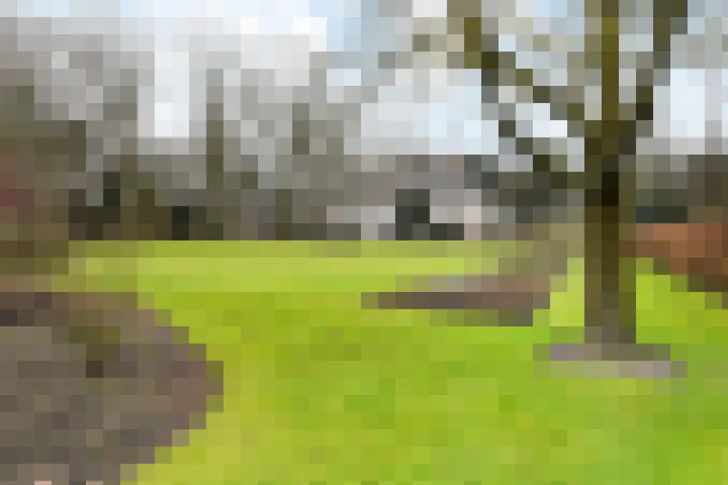 Paauwlaan 7 Wassenaar thumbnail 42