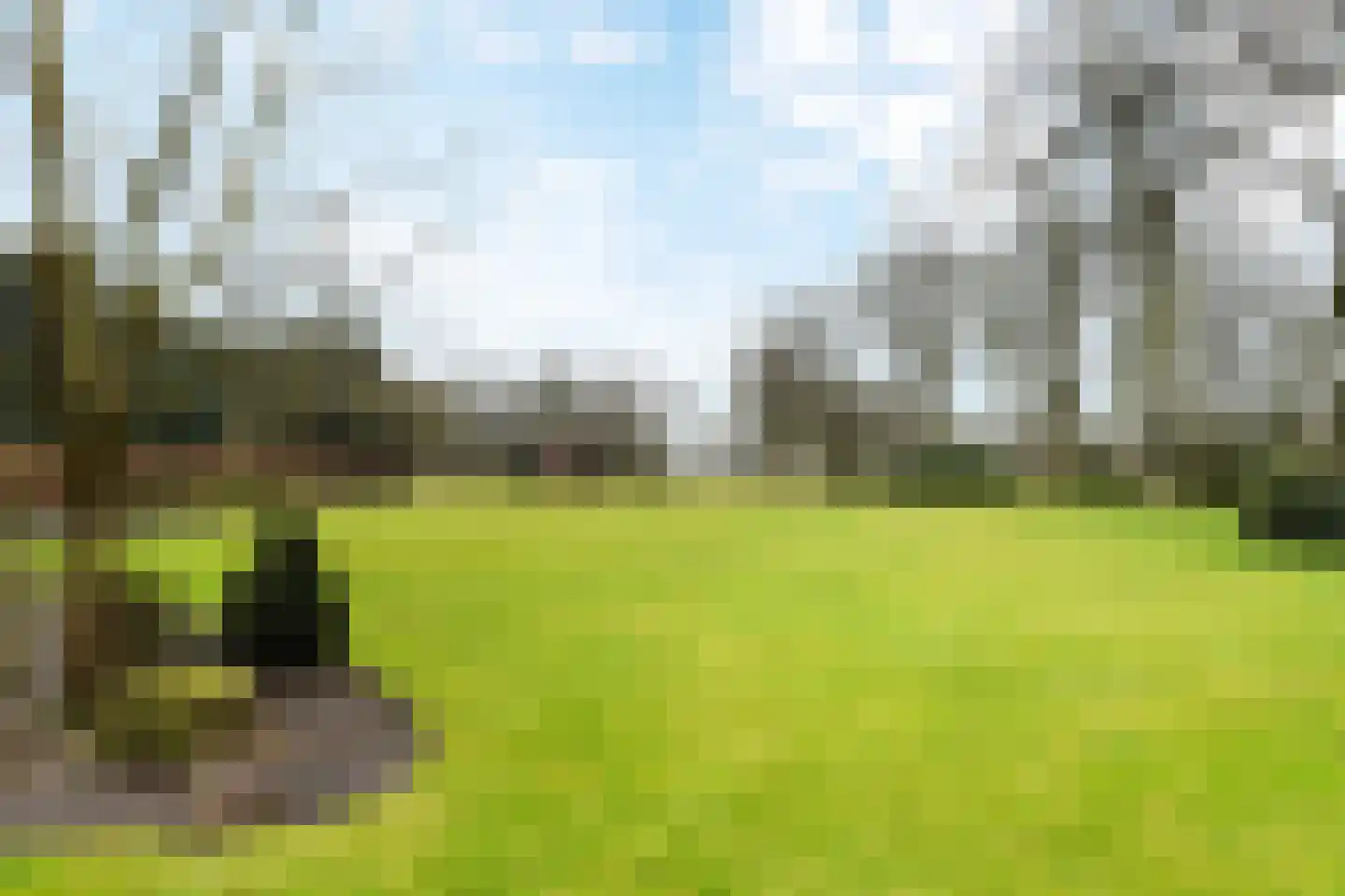 Paauwlaan 7 Wassenaar thumbnail 44