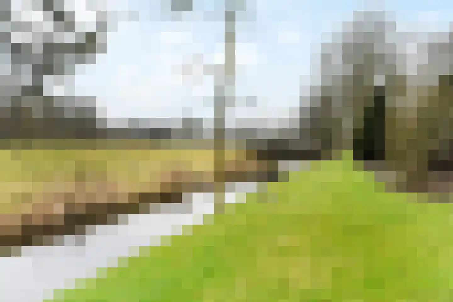 Paauwlaan 7 Wassenaar thumbnail 47