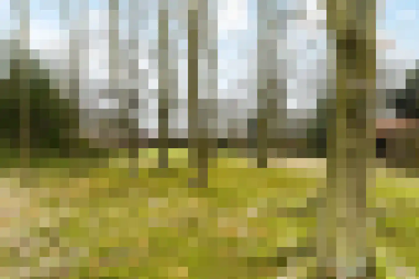 Paauwlaan 7 Wassenaar thumbnail 48