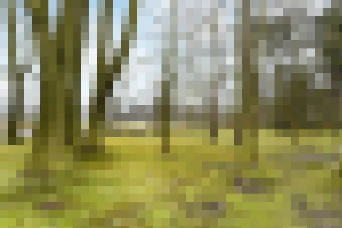 Paauwlaan 7 Wassenaar thumbnail 49