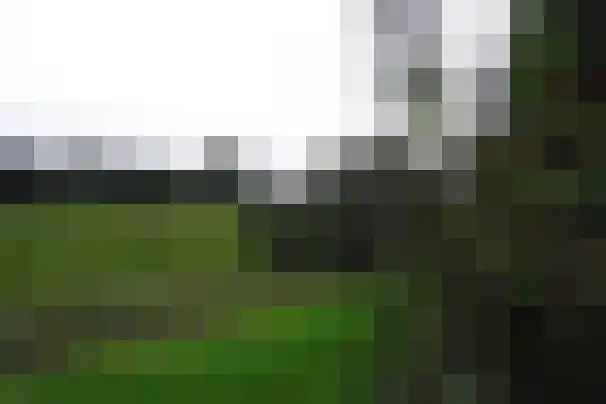 Paauwlaan 7 Wassenaar thumbnail 5