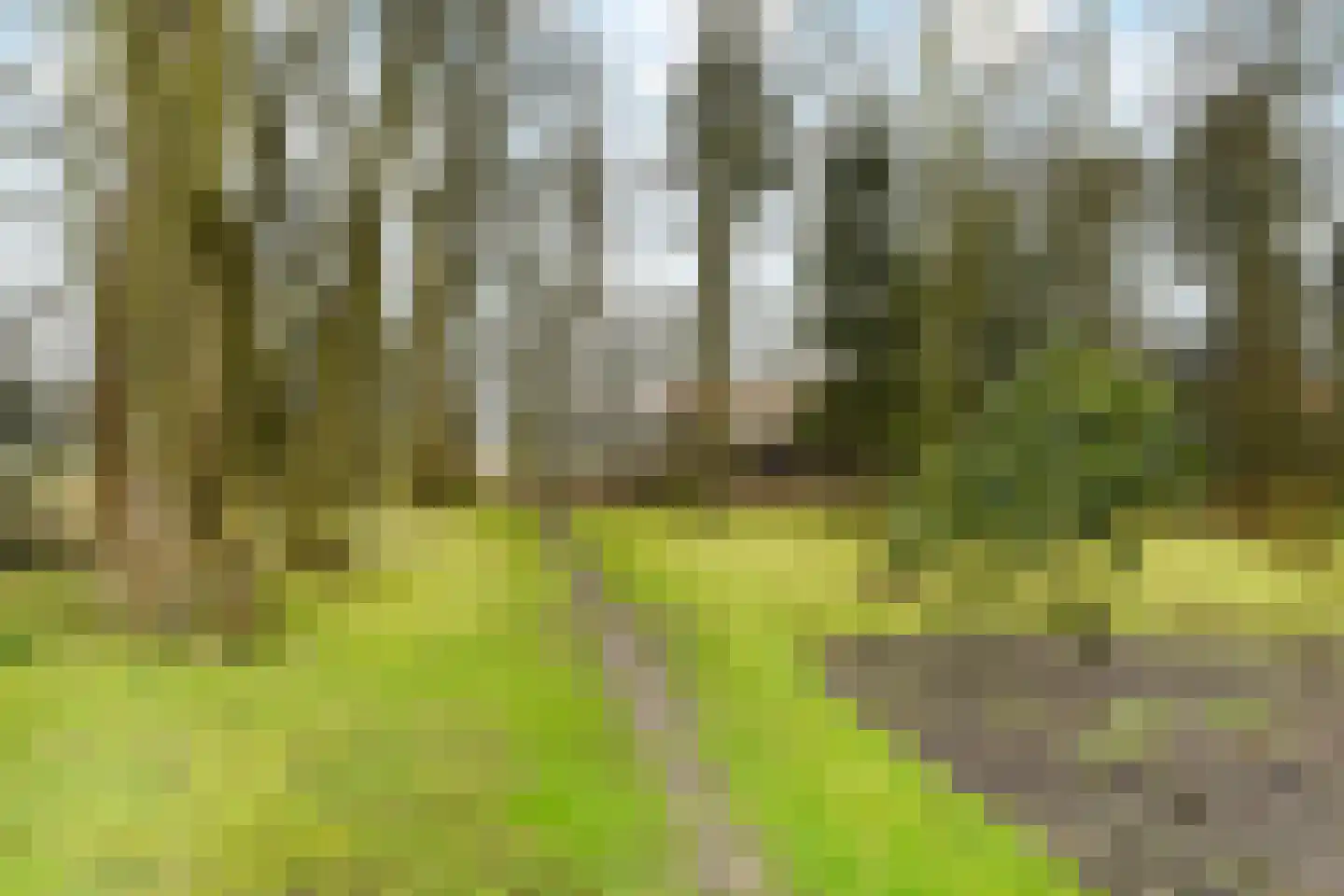 Paauwlaan 7 Wassenaar thumbnail 50