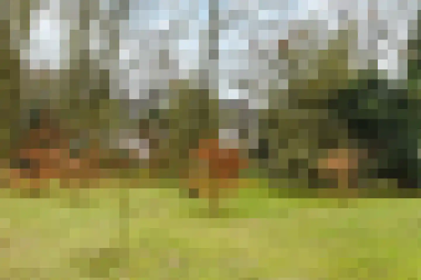 Paauwlaan 7 Wassenaar thumbnail 51
