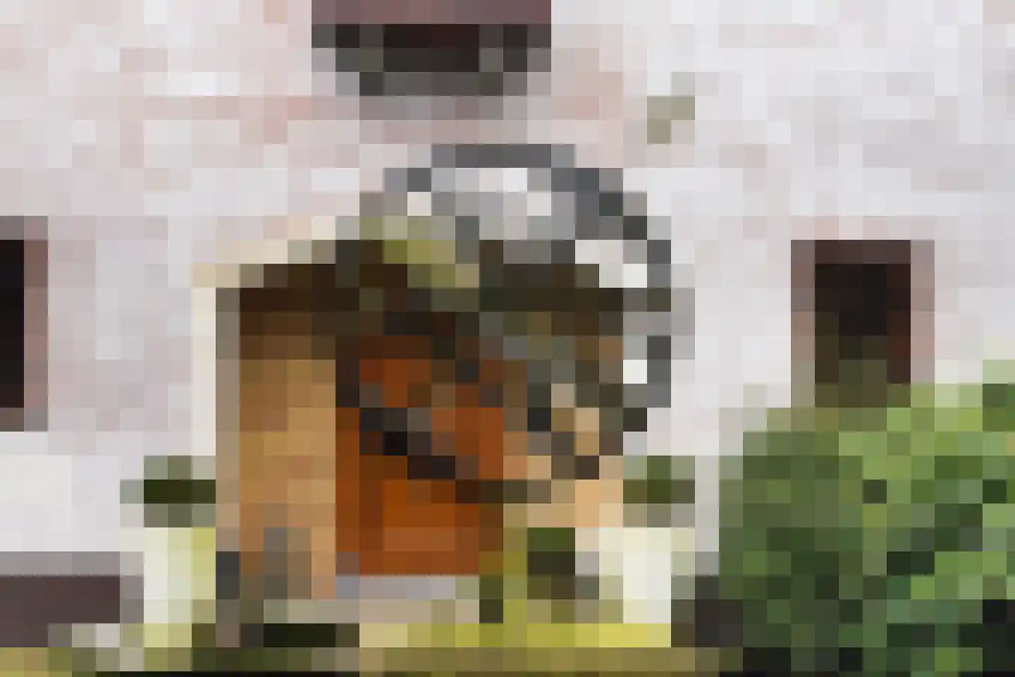 Paauwlaan 7 Wassenaar thumbnail 54