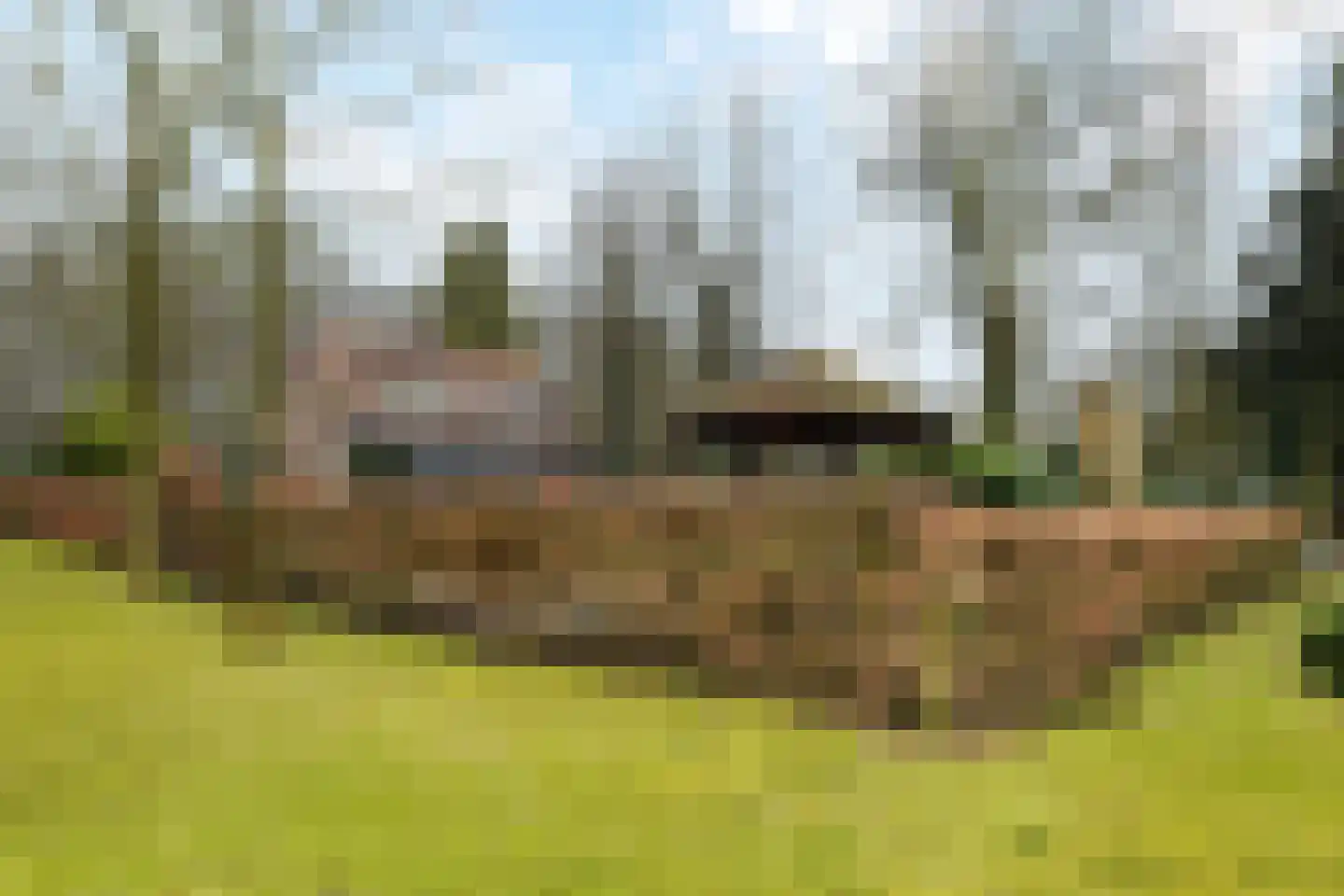 Paauwlaan 7 Wassenaar thumbnail 58