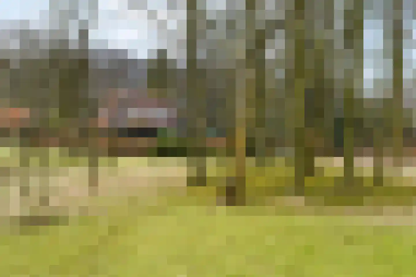 Paauwlaan 7 Wassenaar thumbnail 59