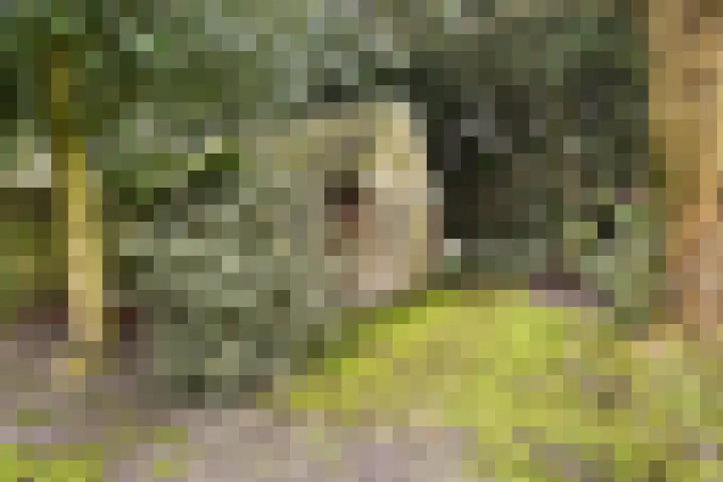 Paauwlaan 7 Wassenaar thumbnail 60