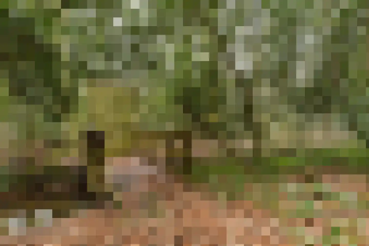 Paauwlaan 7 Wassenaar thumbnail 61