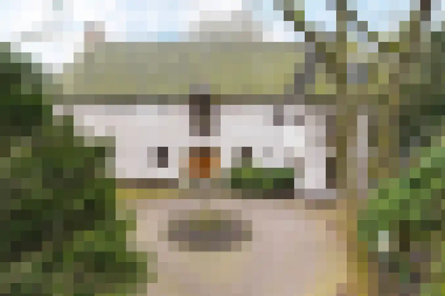 Paauwlaan 7 Wassenaar thumbnail 63
