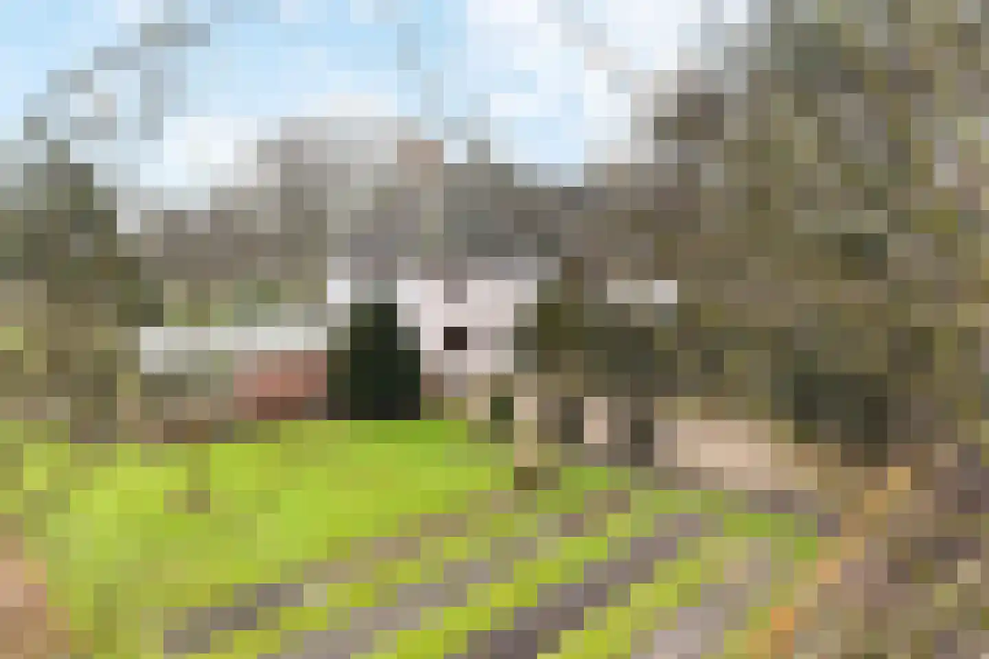 Paauwlaan 7 Wassenaar thumbnail 64