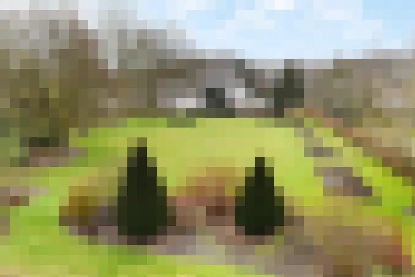 Paauwlaan 7 Wassenaar thumbnail 65