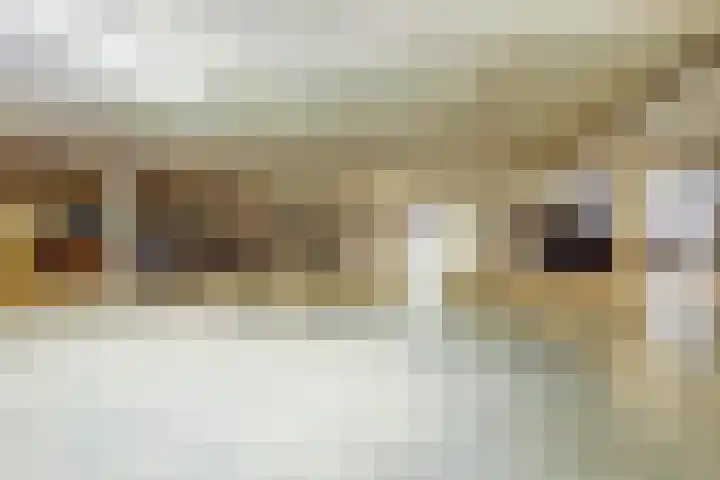 Pablo Picassostraat 133 Utrecht thumbnail 28