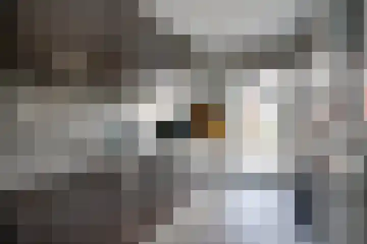 Pablo Picassostraat 165 Utrecht thumbnail 16