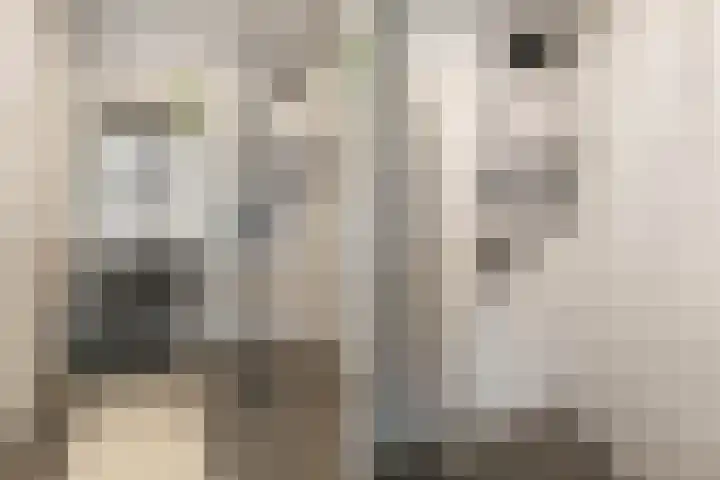 Pablo Picassostraat 180 Utrecht thumbnail 26