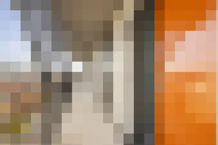 Pablo Picassostraat 180 Utrecht thumbnail 30