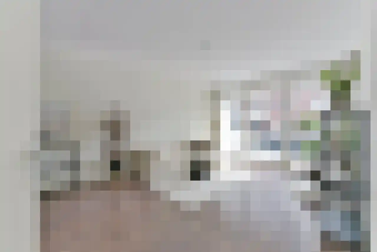 Pablo Picassostraat 204 Utrecht thumbnail 5