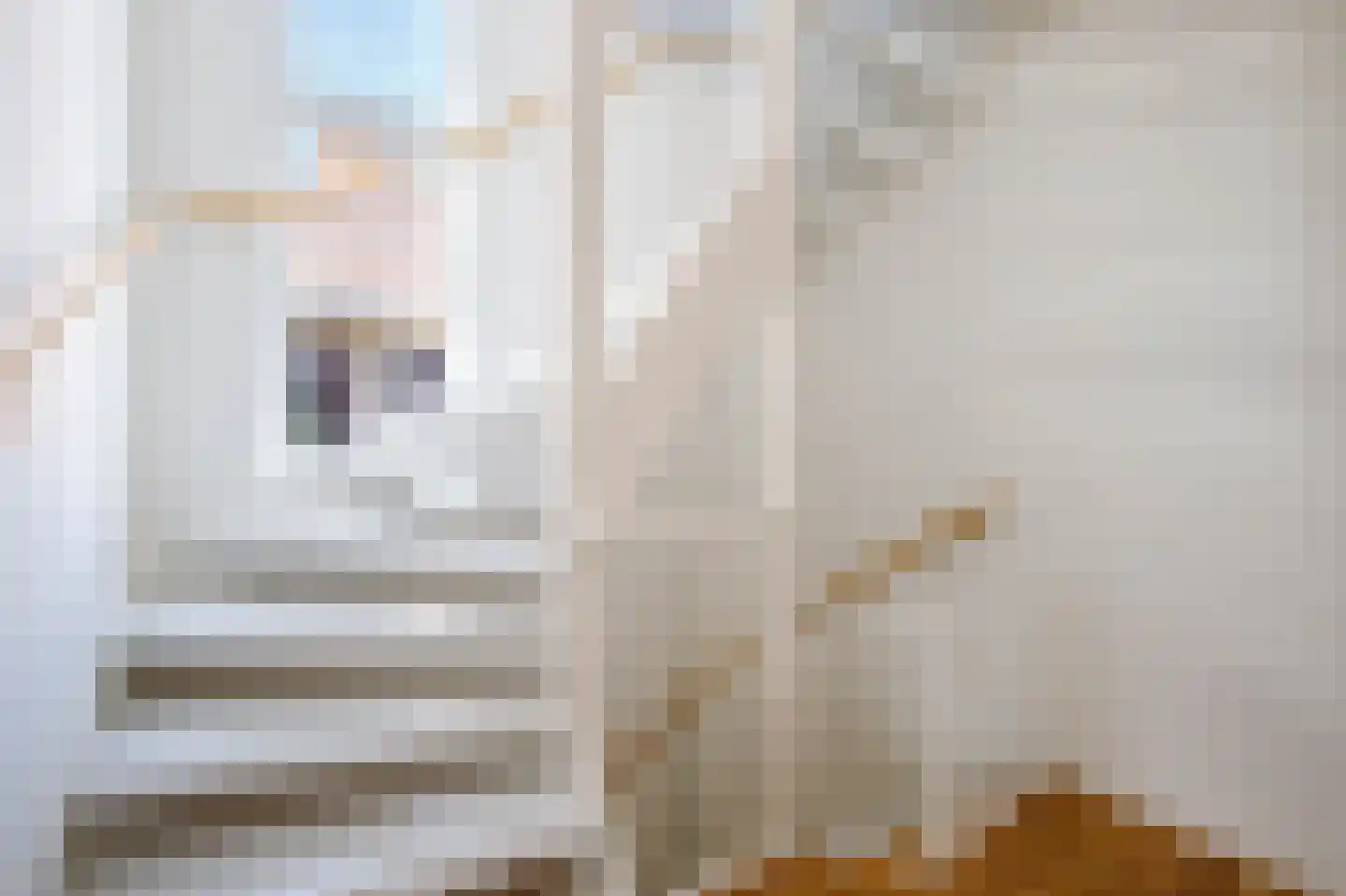 Pablo Picassostraat 21 Rotterdam thumbnail 22