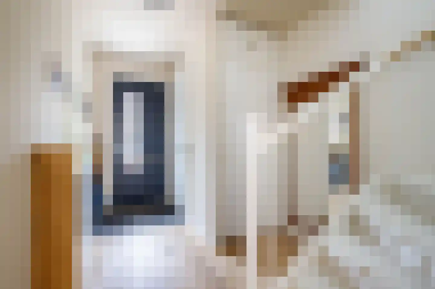 Pablo Picassostraat 21 Rotterdam thumbnail 7