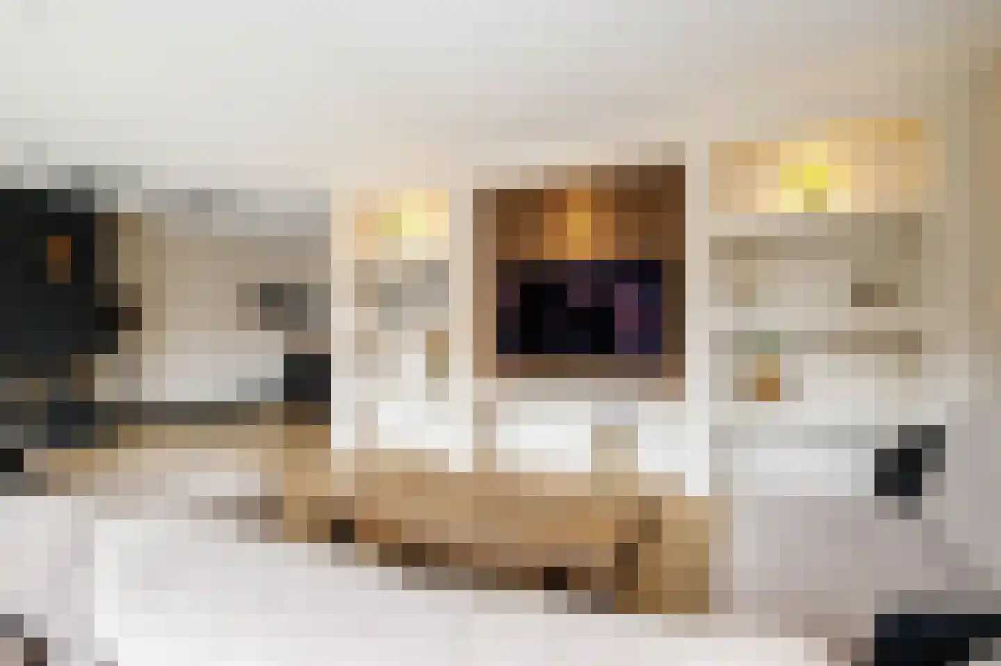Pablo Picassostraat 32 Rotterdam thumbnail 10