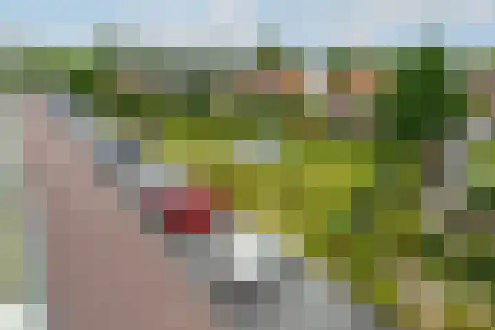 Pablo Picassostraat 532 Utrecht thumbnail 43