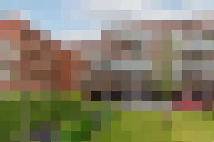 Pablo Picassostraat 532 Utrecht thumbnail 44