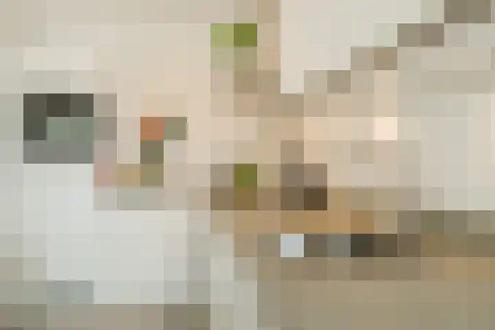 Pablo Picassostraat 534 Utrecht thumbnail 21