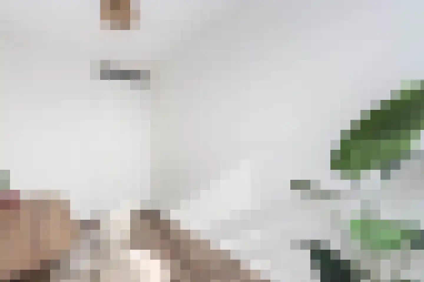 Pablo Picassostraat 559 Utrecht thumbnail 14