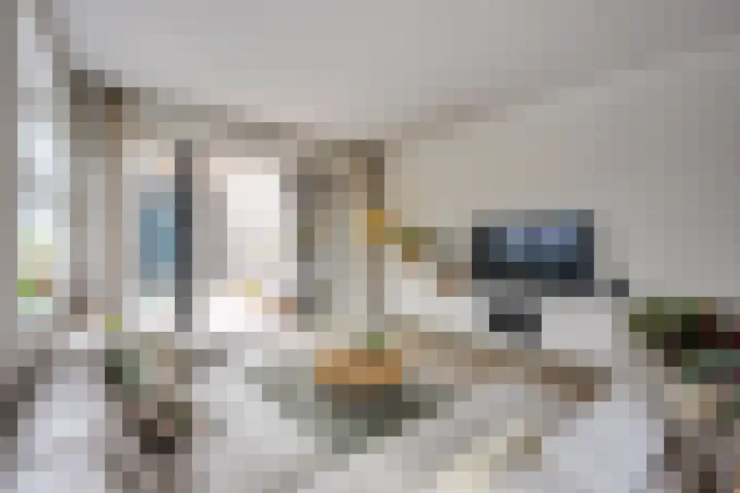 Pablo Picassostraat 77 Utrecht thumbnail 17