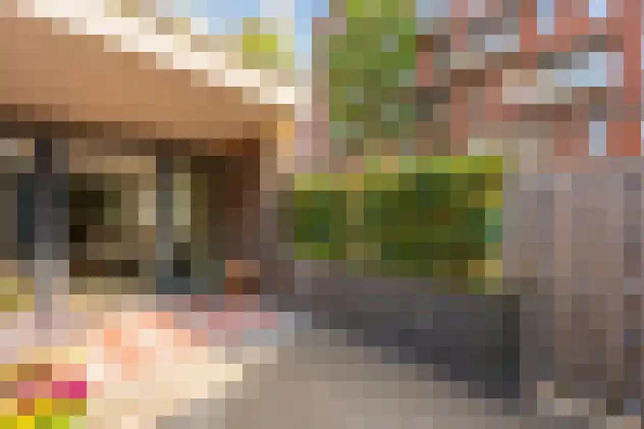 Pablo Picassostraat 77 Utrecht thumbnail 22