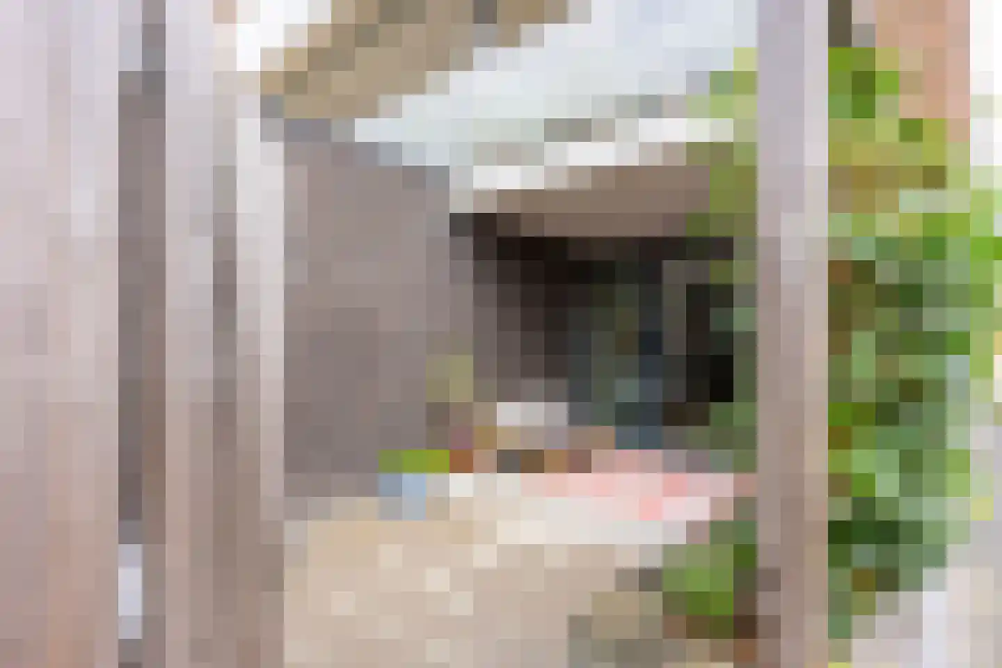 Pablo Picassostraat 77 Utrecht thumbnail 23