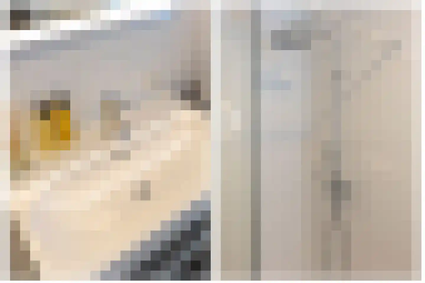 Pablo Picassostraat 77 Utrecht thumbnail 38