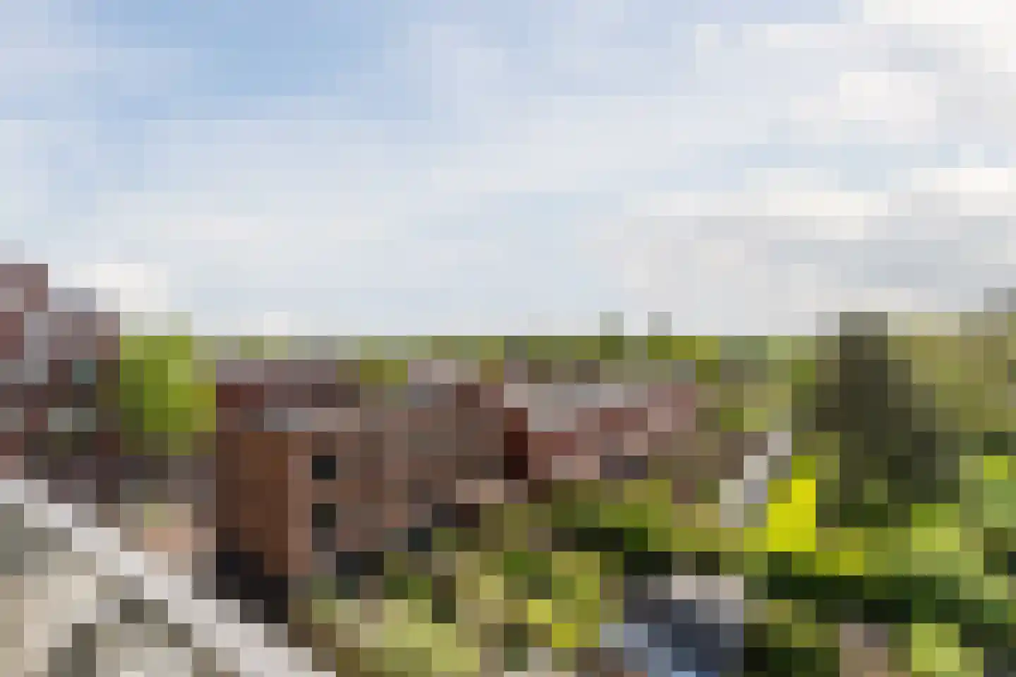 Pablo Picassostraat 95 Utrecht thumbnail 20