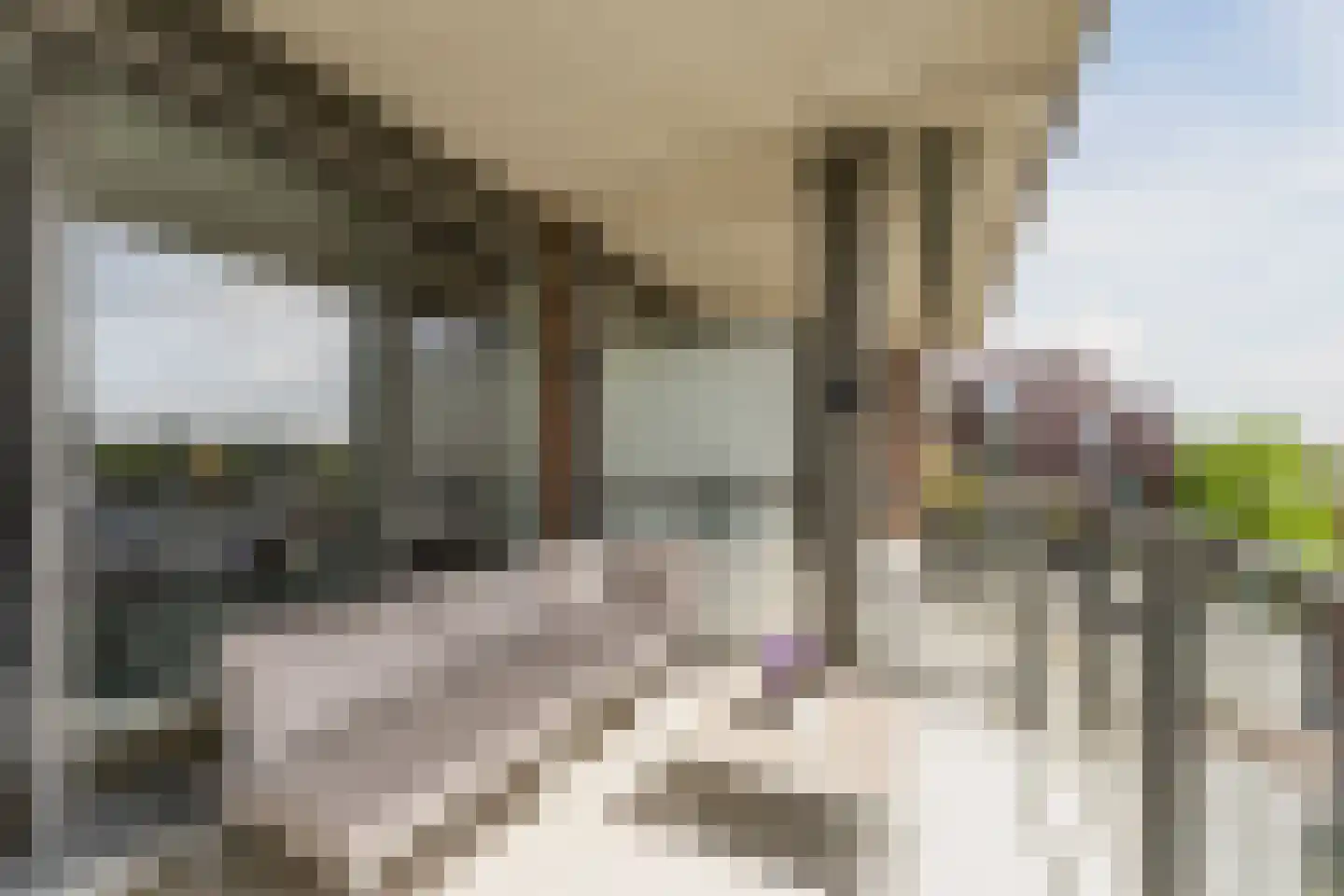 Pablo Picassostraat 95 Utrecht thumbnail 23