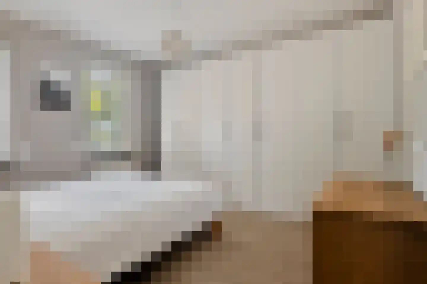 Pachtershof 1 Axel thumbnail 14