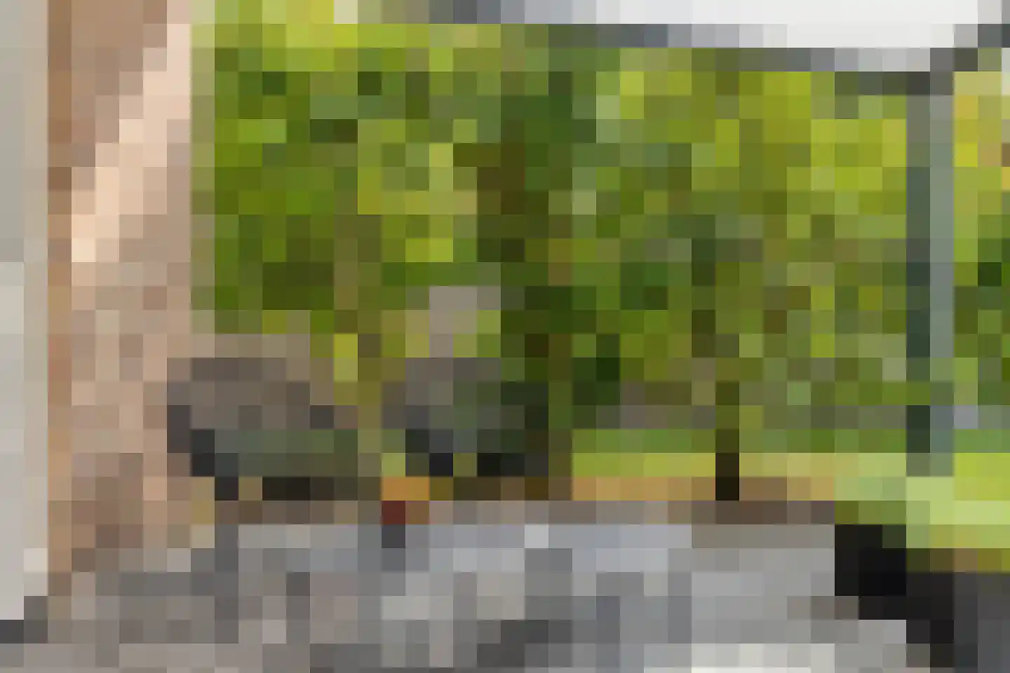 Pachtershof 1 Axel thumbnail 27