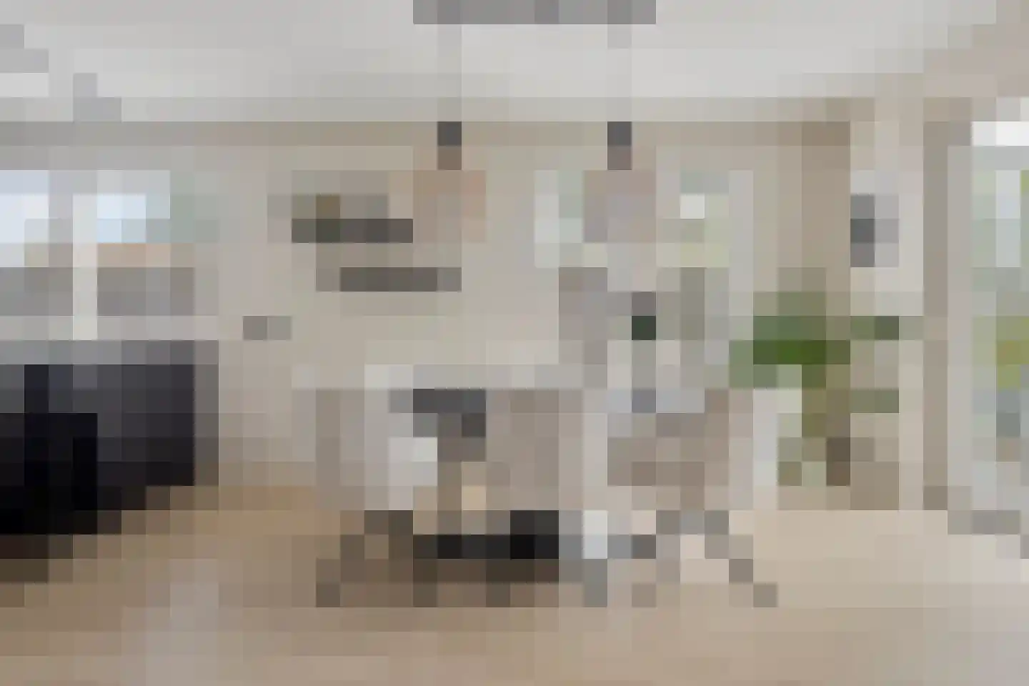 Pachtershof 1 Axel thumbnail 4