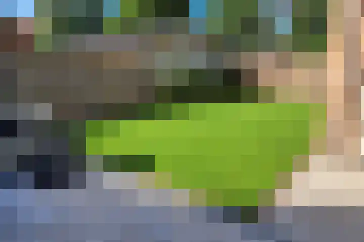 Pachtershof 3 Axel thumbnail 10