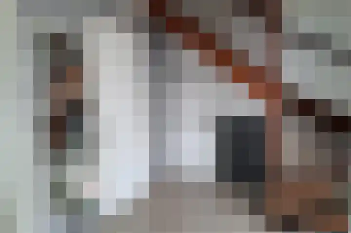 Pachtershof 3 Axel thumbnail 11