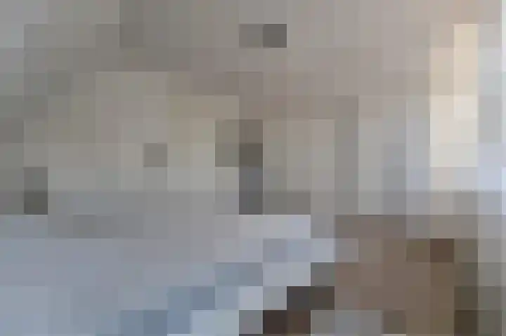 Pachtershof 3 Axel thumbnail 23