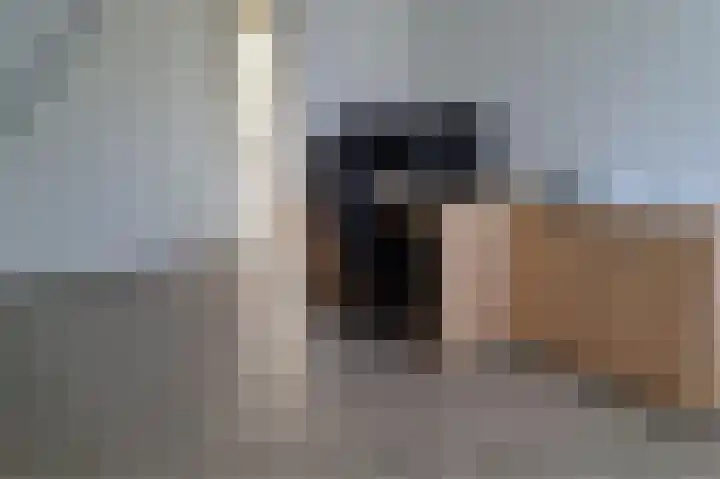Pachtershof 3 Axel thumbnail 24