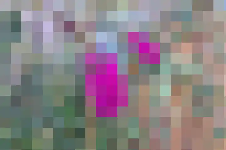 Pachtershof 3 Axel thumbnail 31