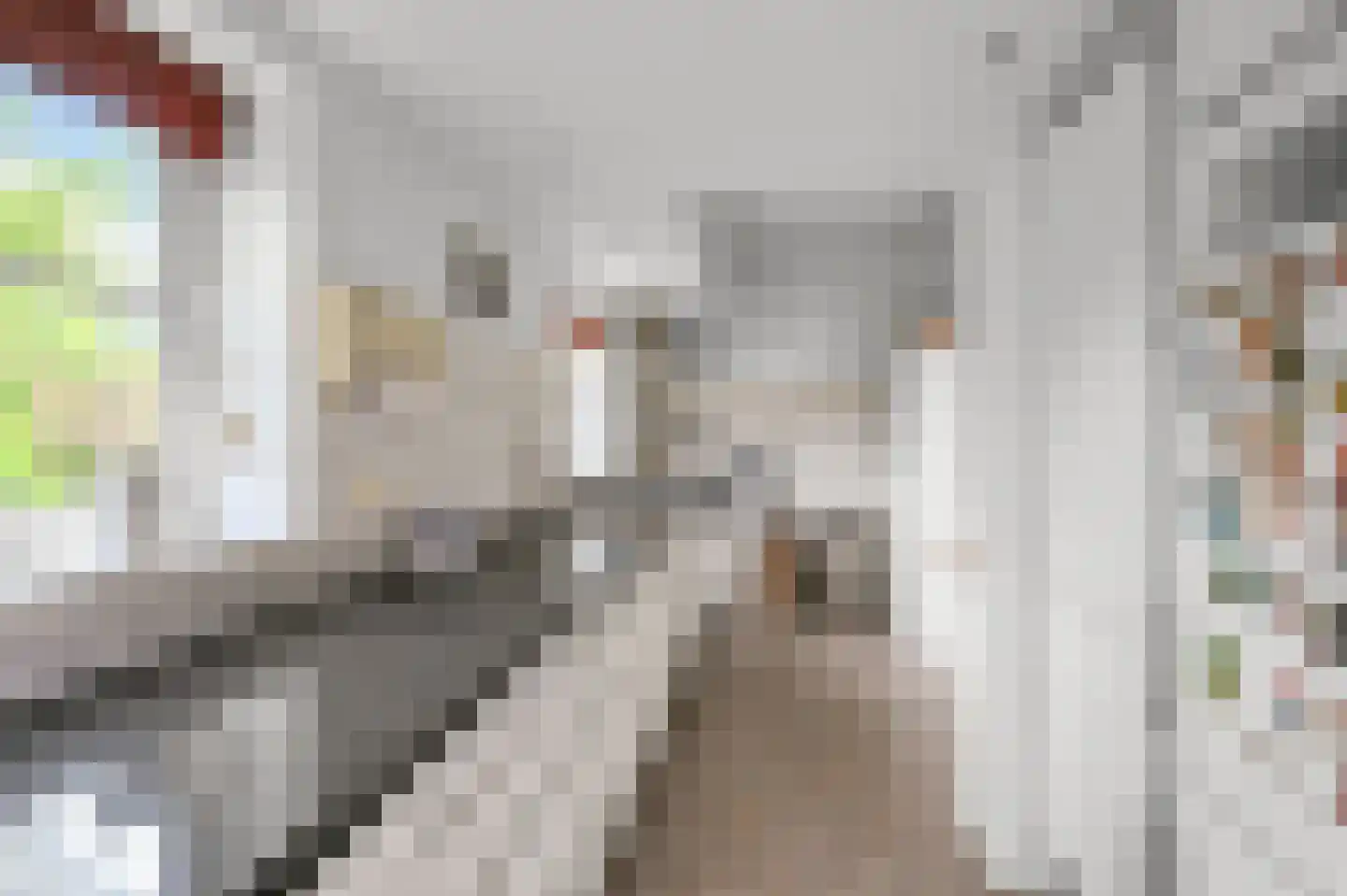 Pachterstraat 1 Krommenie thumbnail 11